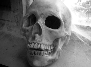spooky photo plaster skull in shed photo by J.Gilberd