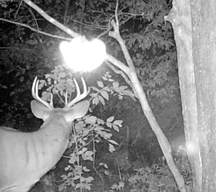 Trailcam photo by Rich Huerth, Wisconsin USA, Paranormal photo, New Zealand Strange Occurrences Society, photo is copyrighty
