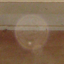non-paranormal orb caused by dust and flash, Fever Hospital, Nurses' home, Wellington, photo by Helen Gower, Strange occurrences Paranormal Investigators Wellington new Zealand