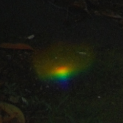 Lens flare rainbow artefact, non-paranormal, photo by James Gilberd