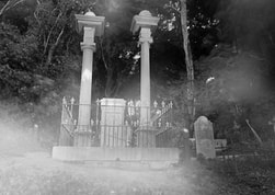 ghost photo, Bolton St Cemetery, Thorndon, Wellington, Ectoplasmic mist?, Something (probably one of us lot!) moved past the camera during the exposure. Photo: J.Gilberd