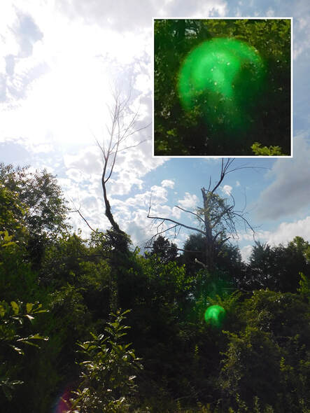 green orb in photo, lens flare orb from cellphone camera, photo by Faith Frederick, New Zealand Strange Occurrences Society, false positive paranormal photo