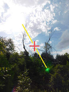 green orb in photo, lens flare orb from cellphone camera, photo by Faith Frederick, New Zealand Strange Occurrences Society, false positive paranormal photo