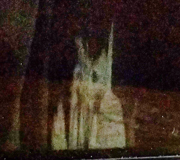 strange ghostly reflection behind dog in car, paranormal photo, ghost photo with dog, New Zealand Strange Occurrences Society